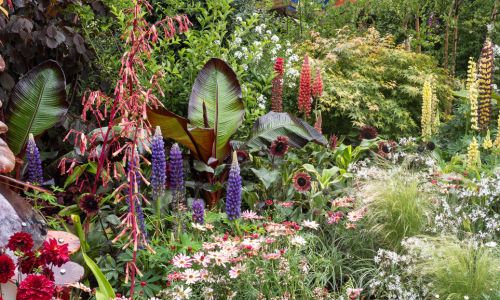 Chelsea Flower Show Style
