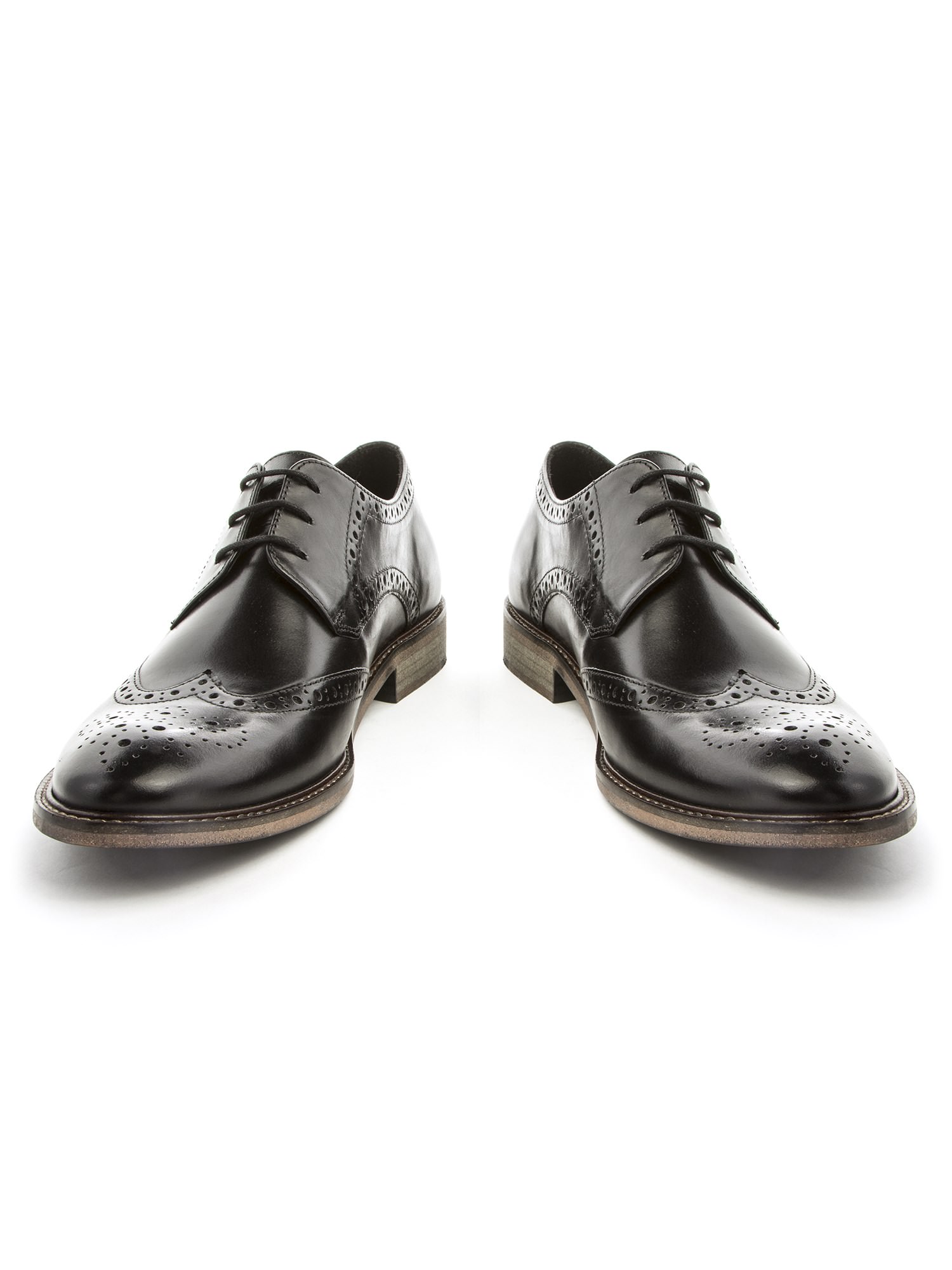 alexandre trainers
