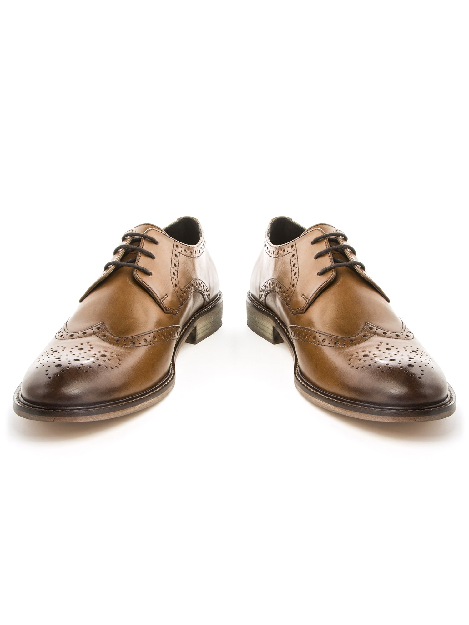 alexandre trainers
