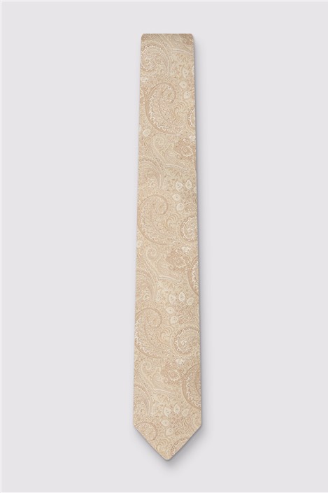 Antique Rogue Champagne Paisley Tie
