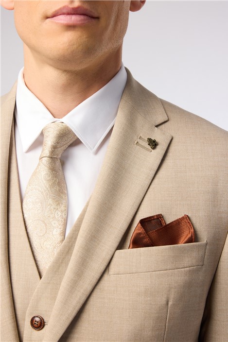 Antique Rogue Champagne Paisley Tie

