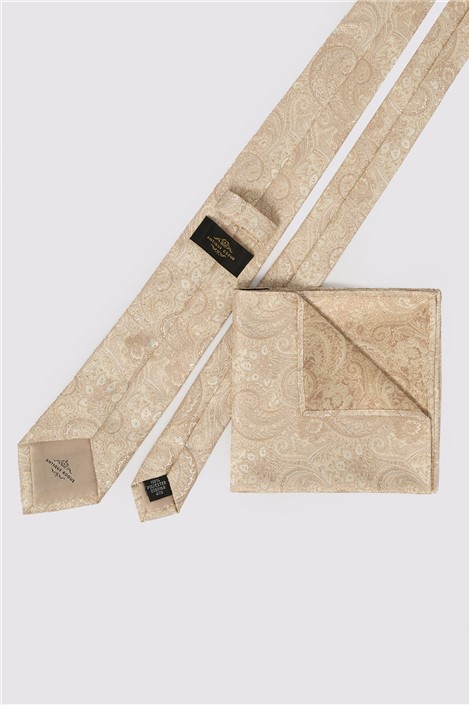 Antique Rogue Champagne Paisley Tie

