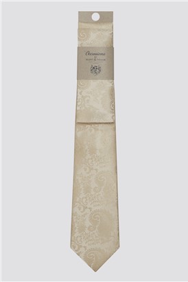  Champagne Tonal Paisley Tie & Pocket Square