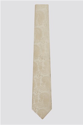  Champagne Tonal Paisley Tie & Pocket Square