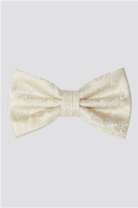  Champagne Paisley Bow Tie & Pocket Square