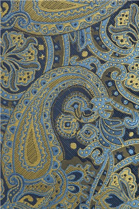  Gold & Navy Paisley Tie