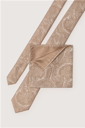  Champagne Paisley Tie
