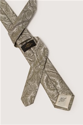  Sea Green Paisley Tie