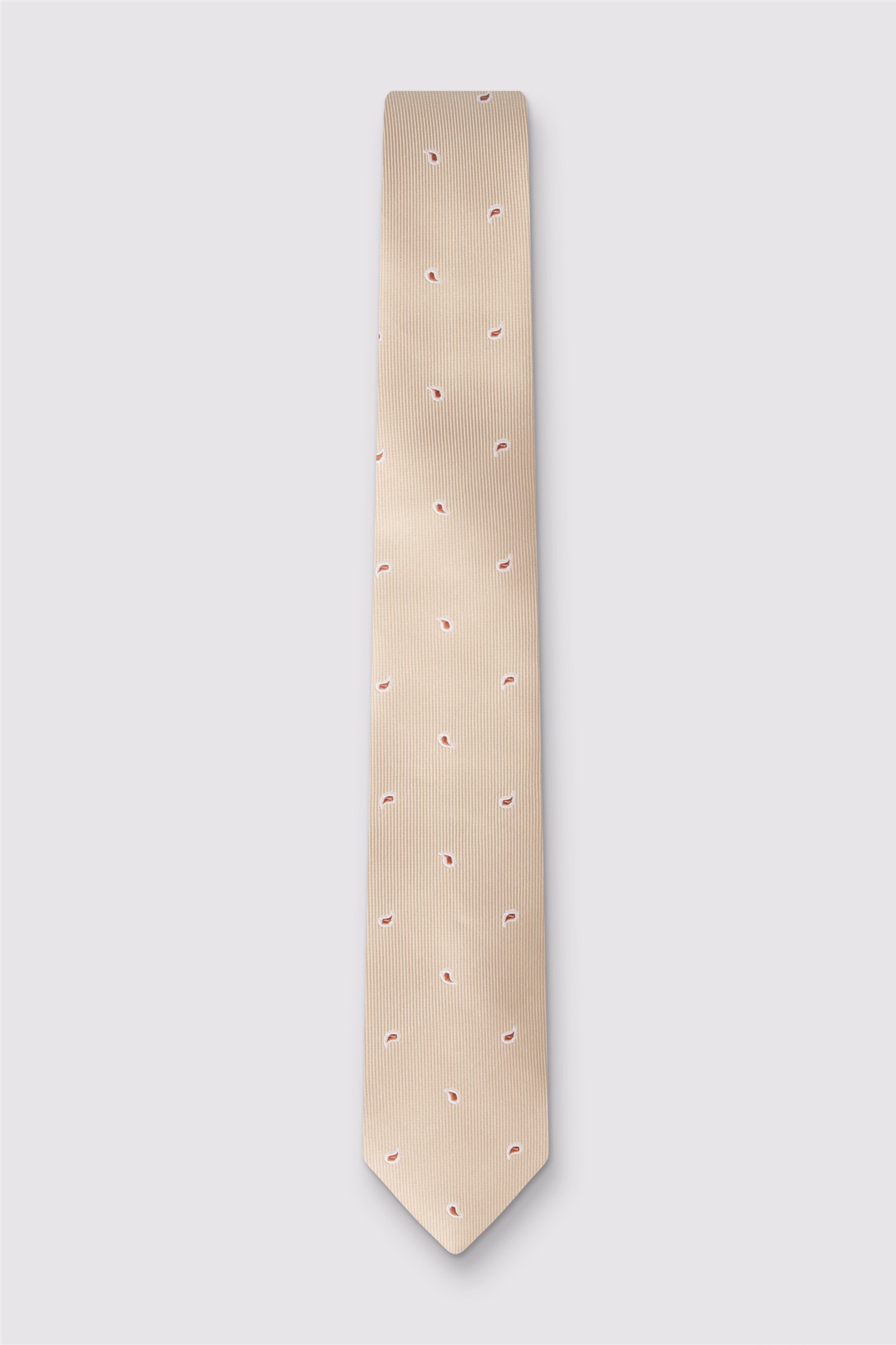 Antique Rogue Ecru Pine Paisley Tie