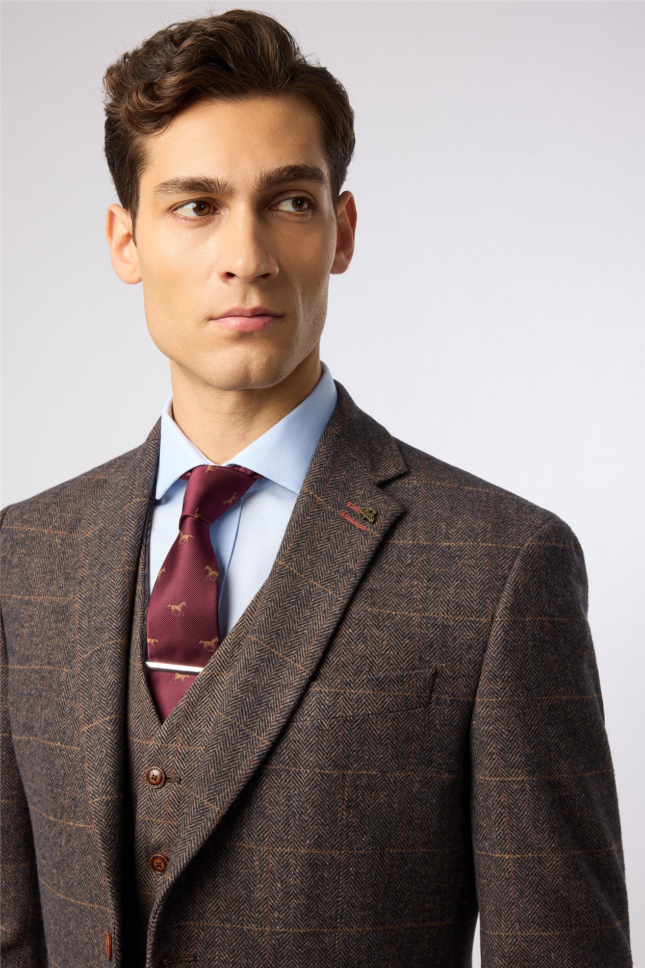Antique Rogue Burgundy Horse Motif Tie